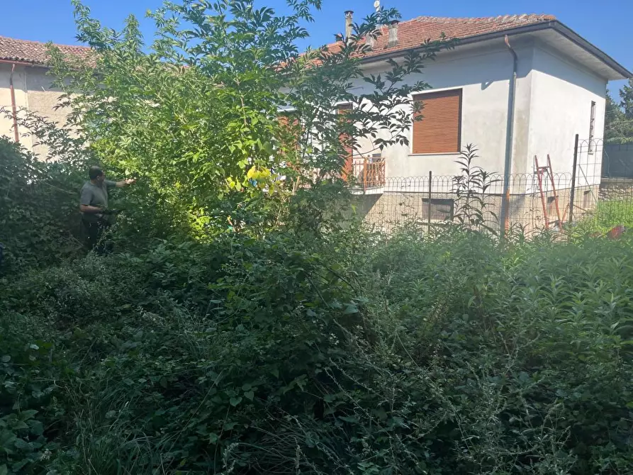 Immagine 3 di Appartamento in vendita  a Sant'agata Fossili