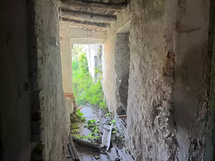 Immagine 4 di Appartamento in vendita  a Sant'agata Fossili