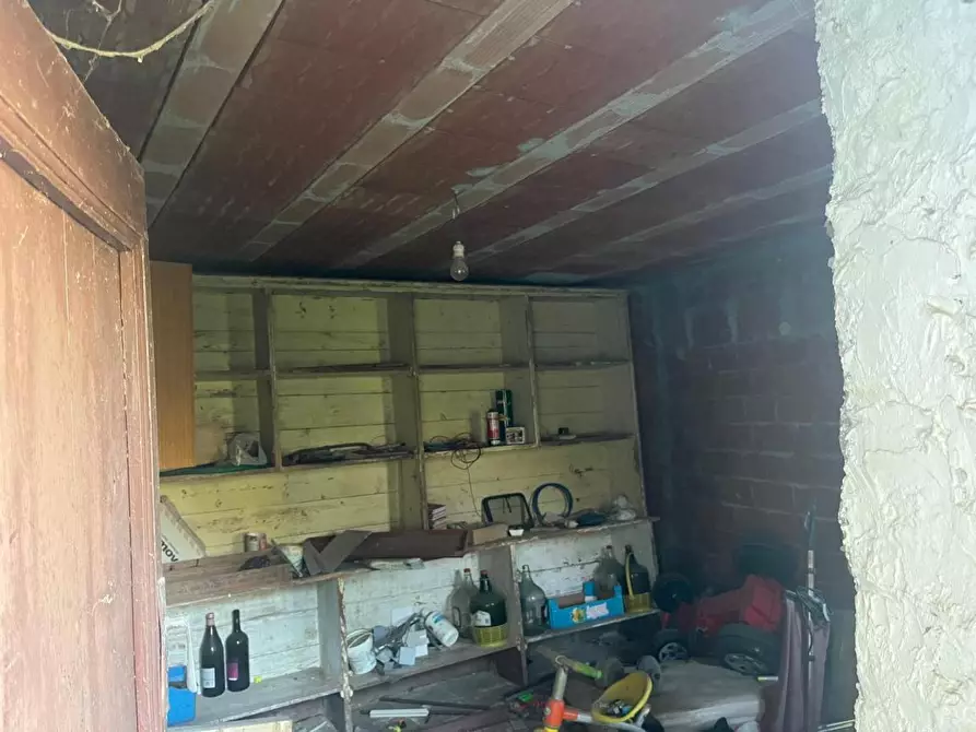 Immagine 6 di Appartamento in vendita  a Sant'agata Fossili