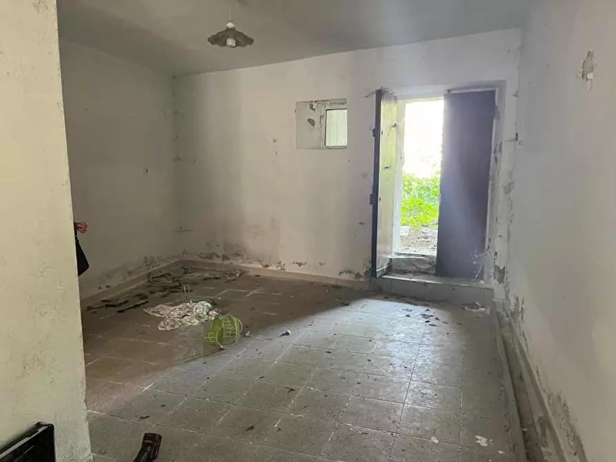 Immagine 8 di Appartamento in vendita  a Sant'agata Fossili