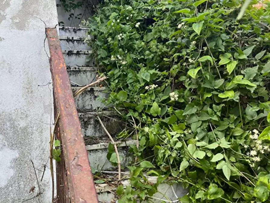 Immagine 9 di Appartamento in vendita  a Sant'agata Fossili