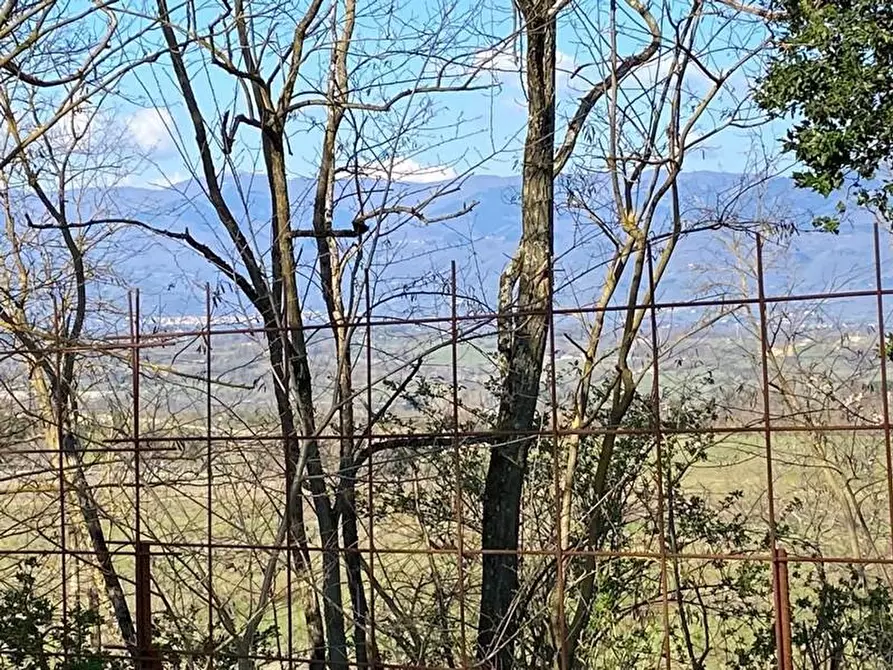 Immagine 2 di Casa colonica in vendita  a Bucine