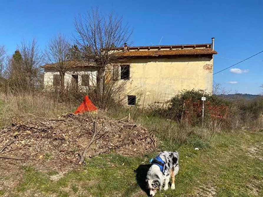 Immagine 5 di Casa colonica in vendita  a Bucine