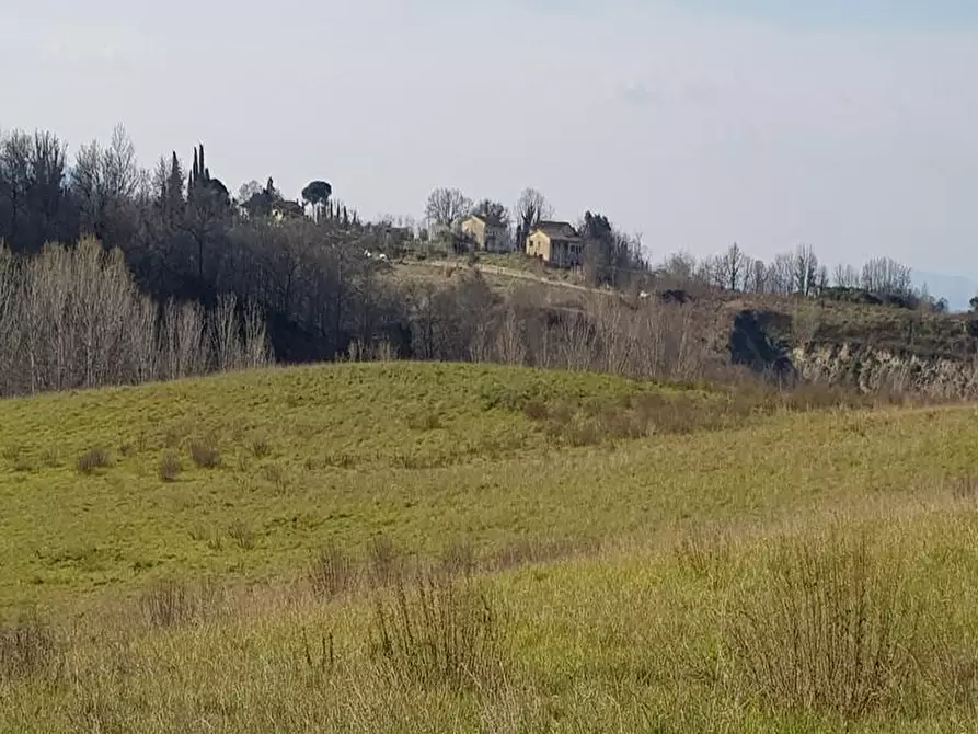 Immagine 3 di Casa colonica in vendita  a Bucine