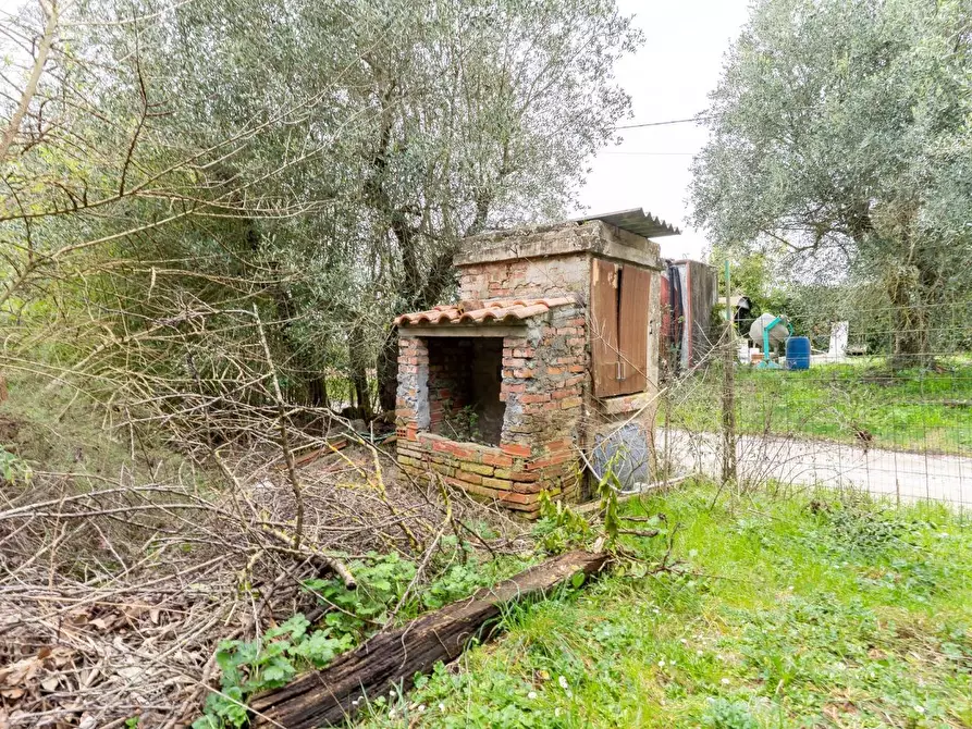 Immagine 5 di Terratetto in vendita  a Vinci