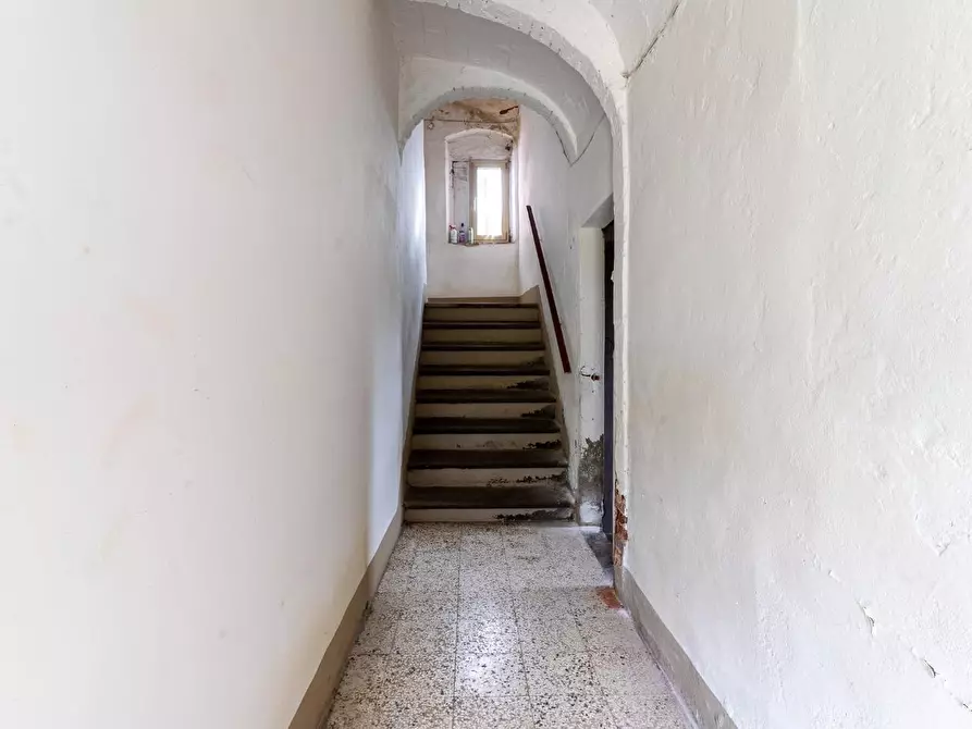 Immagine 18 di Terratetto in vendita  a Vinci