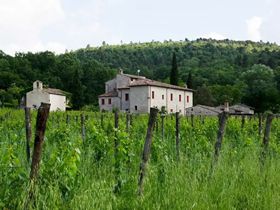 Immagine 7 di Casa colonica in vendita  a Colle Di Val D'elsa