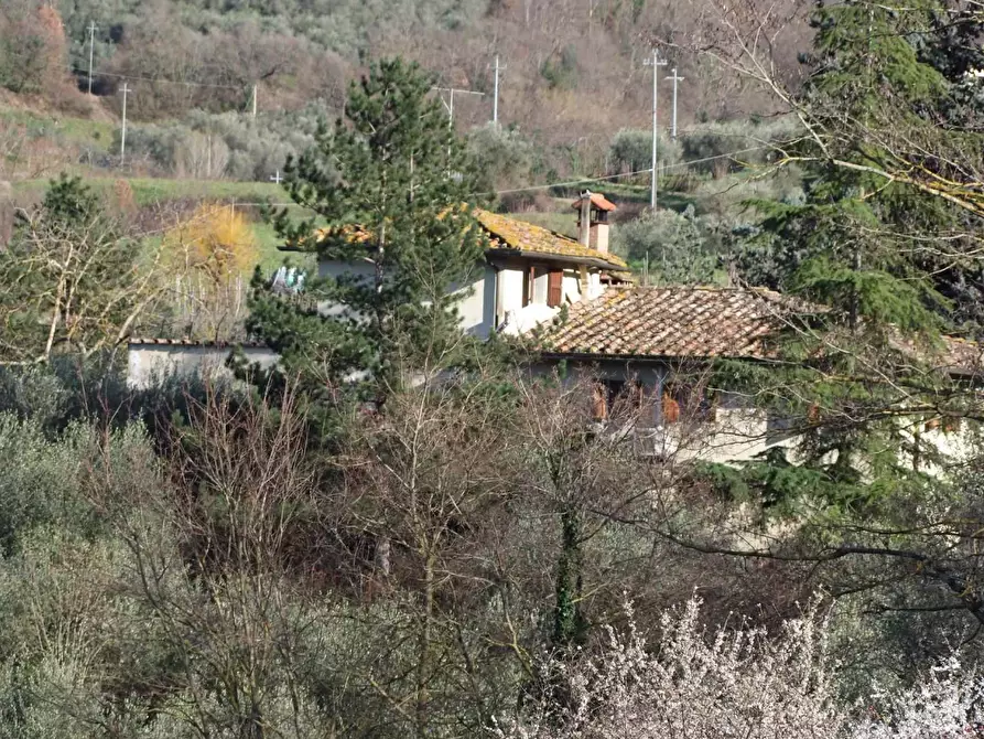 Immagine 31 di Casa colonica in vendita  a Rufina