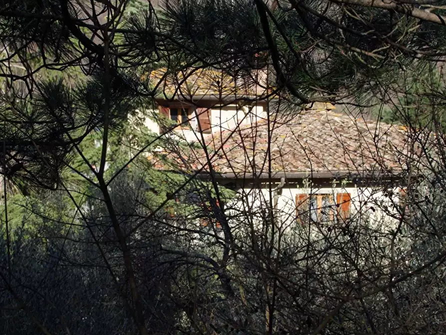 Immagine 35 di Casa colonica in vendita  a Rufina