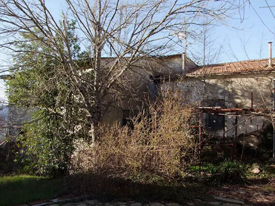 Immagine 34 di Casa colonica in vendita  a Rufina