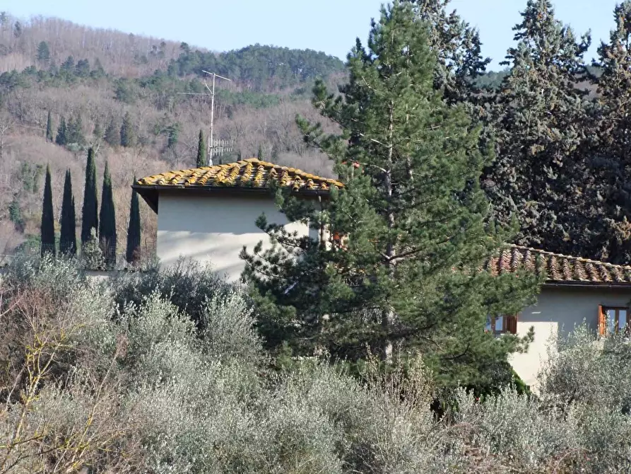 Immagine 32 di Casa colonica in vendita  a Rufina