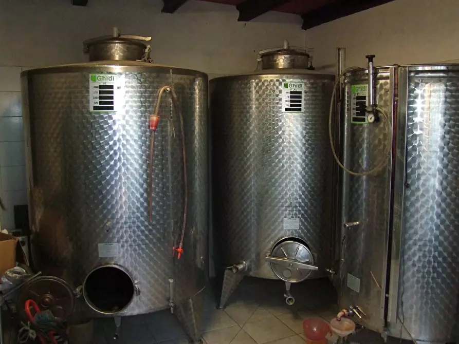 Immagine 29 di Casa colonica in vendita  a Rufina