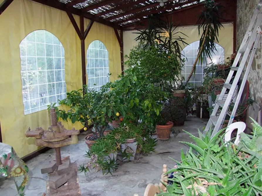 Immagine 25 di Casa colonica in vendita  a Rufina