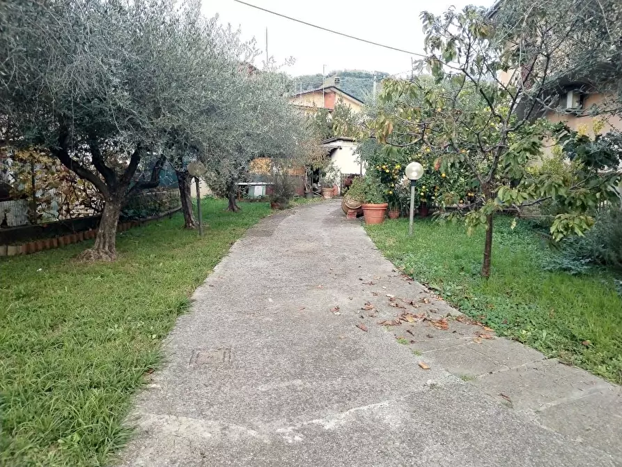 Immagine 3 di Appartamento in vendita  a Massa