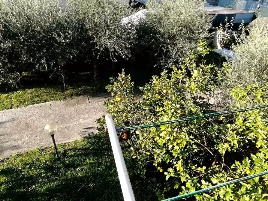 Immagine 4 di Appartamento in vendita  a Massa