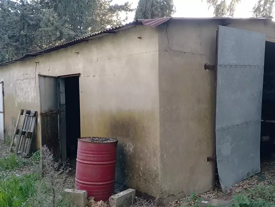 Immagine 22 di Appartamento in vendita  a Piombino