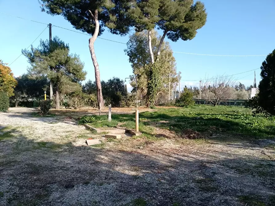 Immagine 25 di Appartamento in vendita  a Piombino