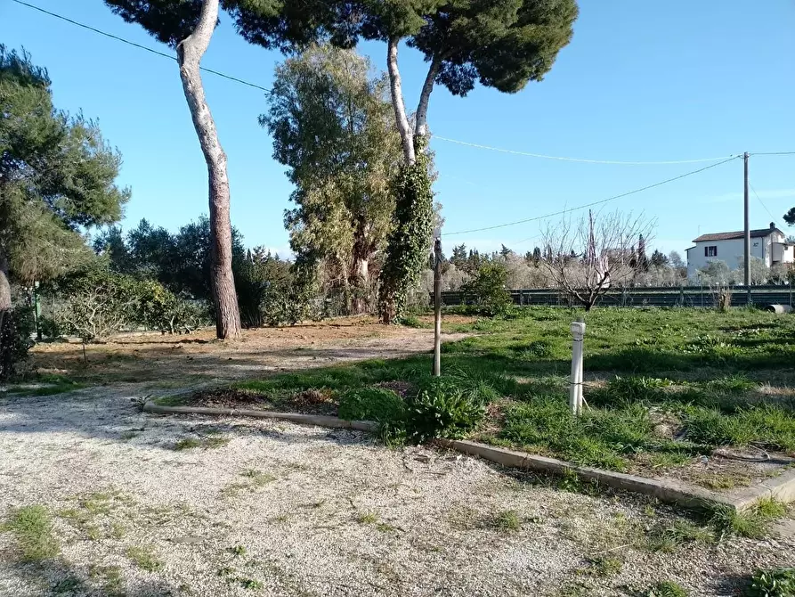 Immagine 2 di Appartamento in vendita  a Piombino