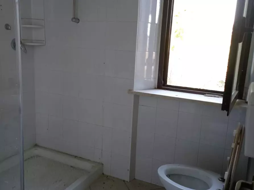 Immagine 14 di Appartamento in vendita  a Piombino