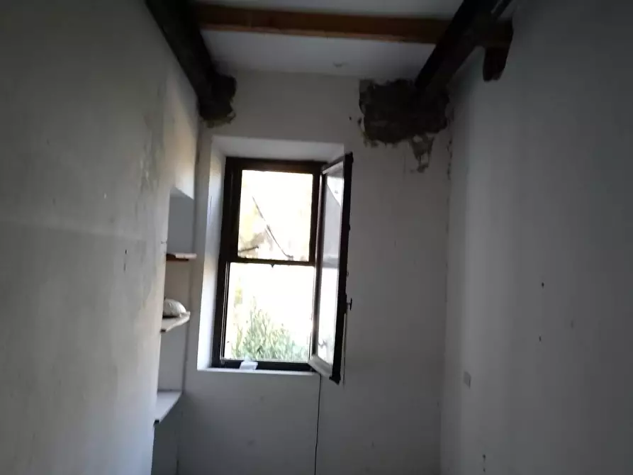 Immagine 12 di Appartamento in vendita  a Piombino