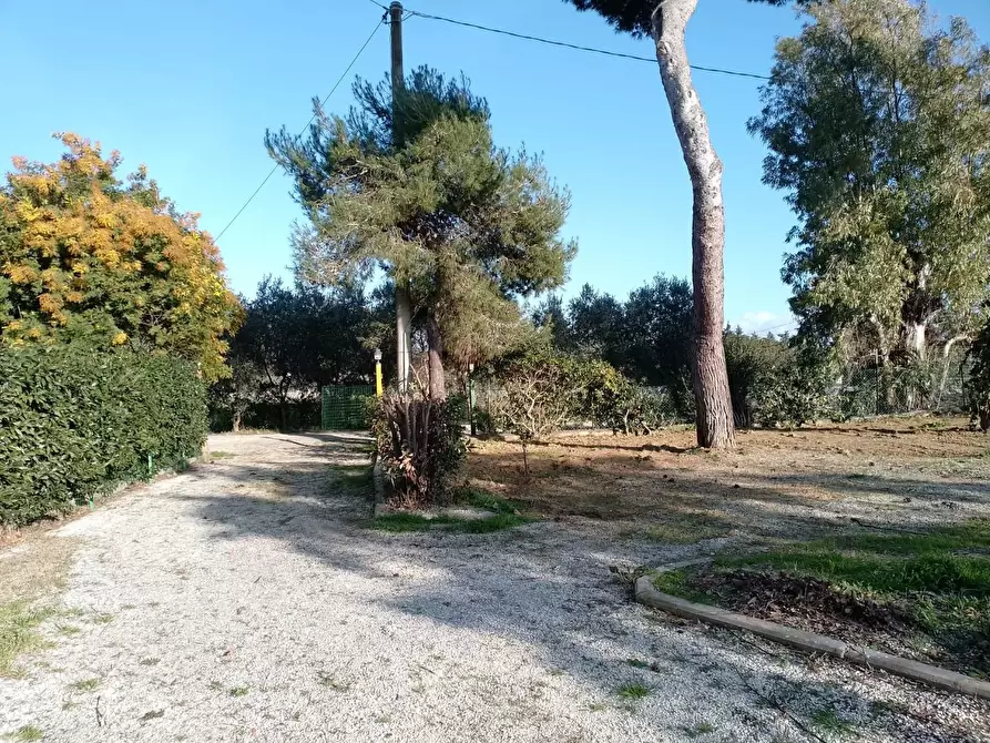 Immagine 1 di Appartamento in vendita  a Piombino