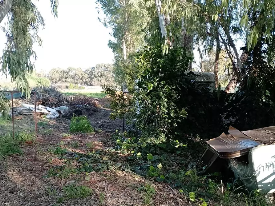 Immagine 21 di Appartamento in vendita  a Piombino