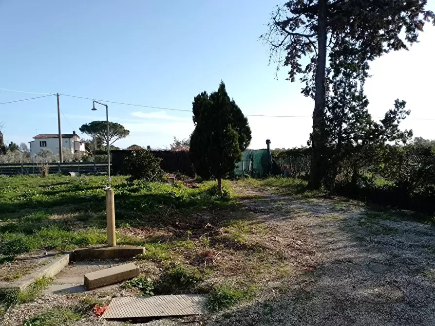 Immagine 28 di Appartamento in vendita  a Piombino