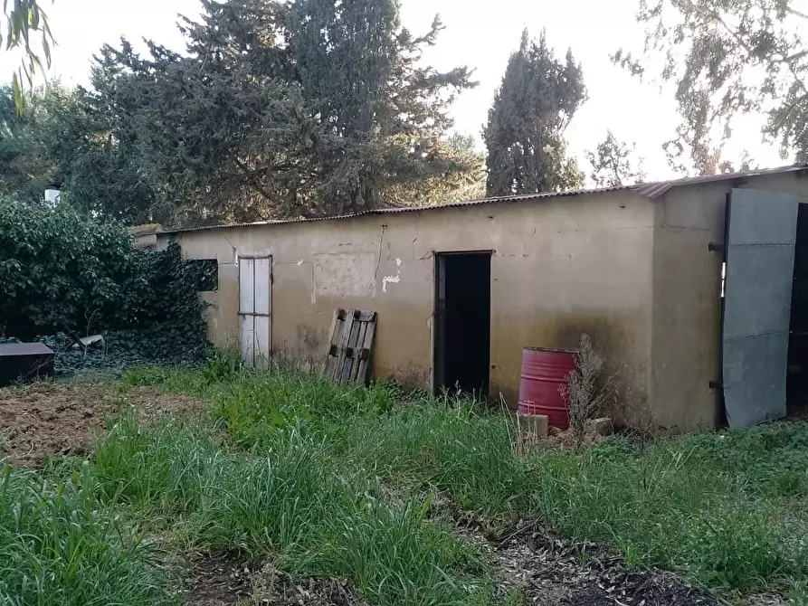 Immagine 19 di Appartamento in vendita  a Piombino