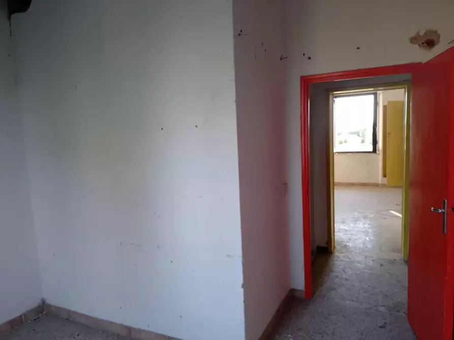 Immagine 10 di Appartamento in vendita  a Piombino