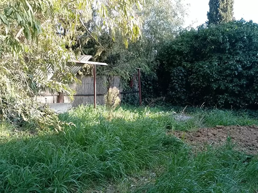 Immagine 5 di Appartamento in vendita  a Piombino