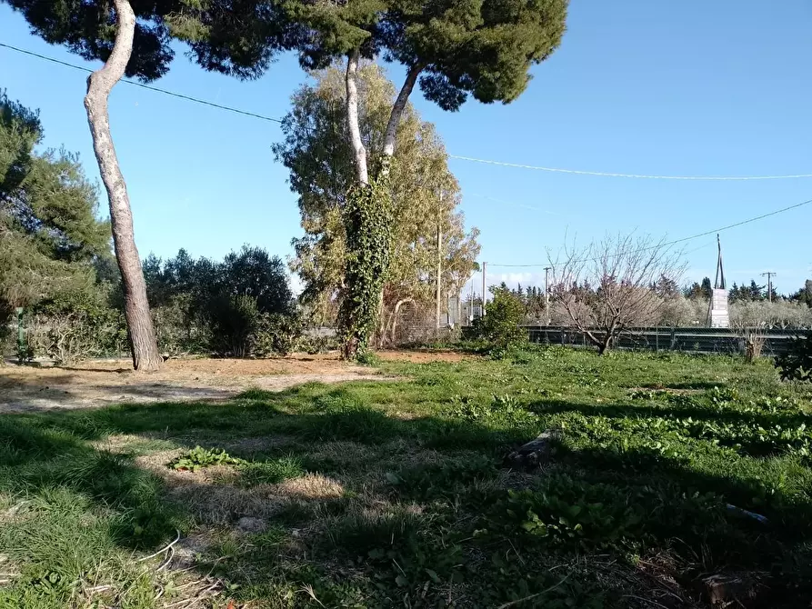 Immagine 27 di Appartamento in vendita  a Piombino