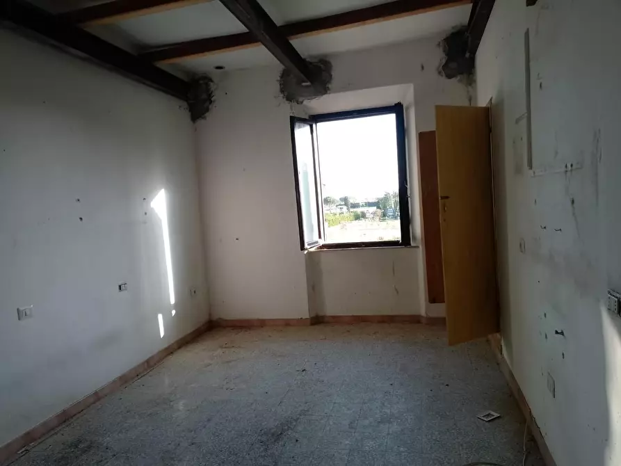 Immagine 9 di Appartamento in vendita  a Piombino