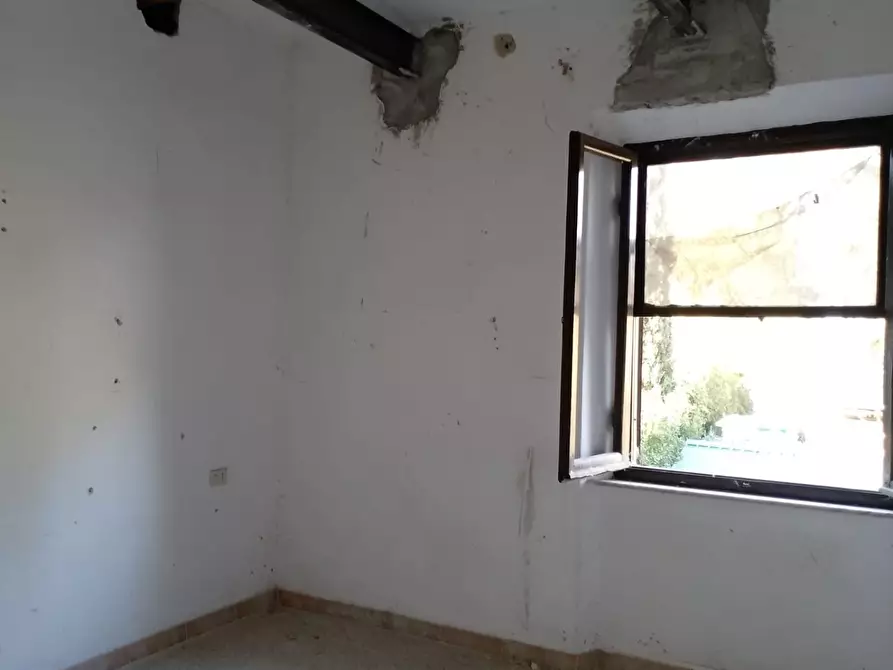 Immagine 18 di Appartamento in vendita  a Piombino