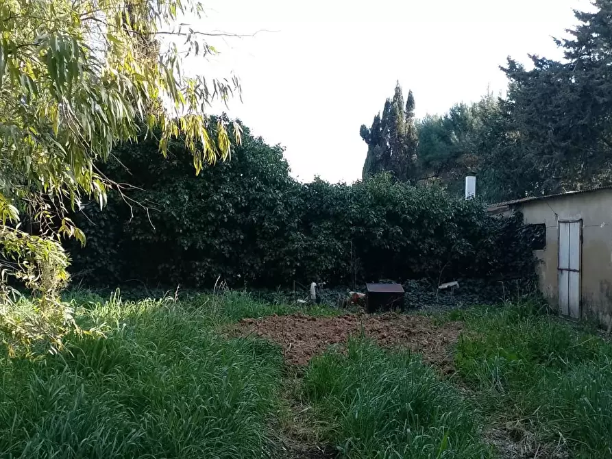 Immagine 20 di Appartamento in vendita  a Piombino