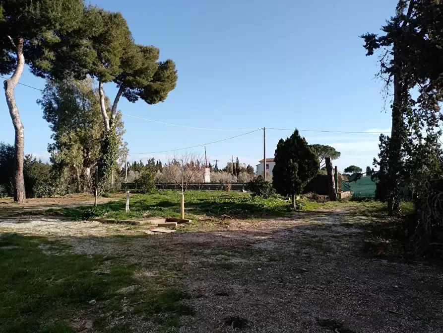 Immagine 29 di Appartamento in vendita  a Piombino