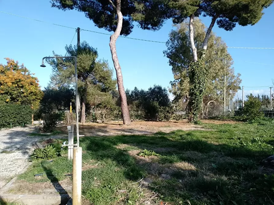 Immagine 26 di Appartamento in vendita  a Piombino