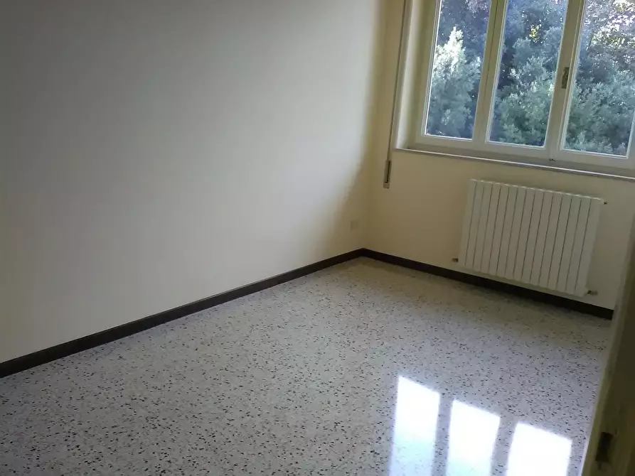 Immagine 39 di Ufficio in affitto  a Viareggio