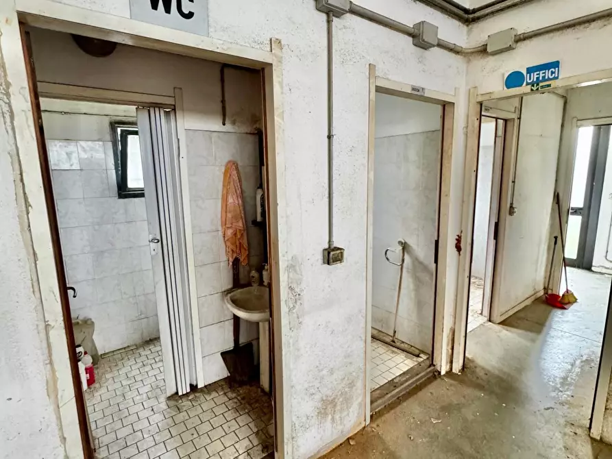 Immagine 7 di Attività artigianale in vendita  a Ponsacco