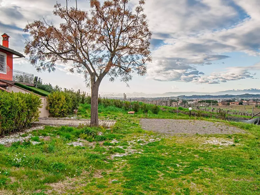 Immagine 2 di Casa indipendente in vendita  a San Miniato