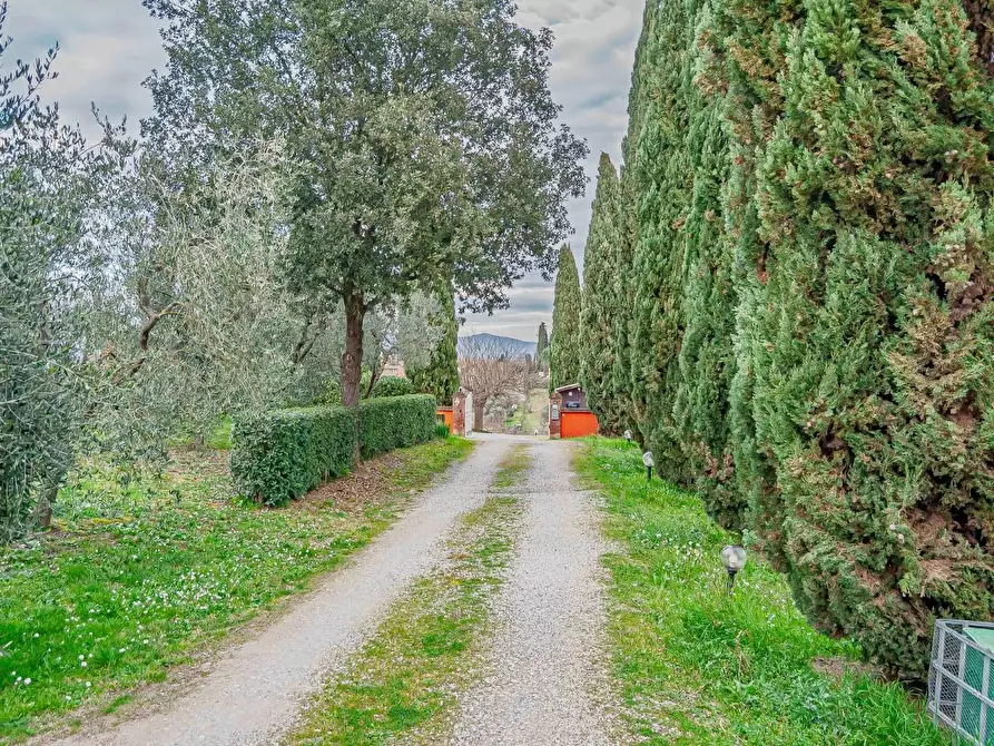 Immagine 24 di Casa indipendente in vendita  a San Miniato