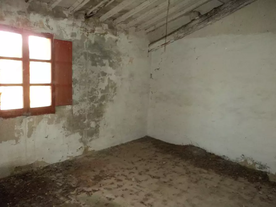 Immagine 9 di Rustico / casale in vendita  a Barberino Tavarnelle