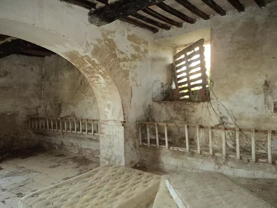 Immagine 4 di Rustico / casale in vendita  a Barberino Tavarnelle