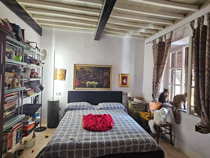 Immagine 19 di Appartamento in vendita  a Pisa