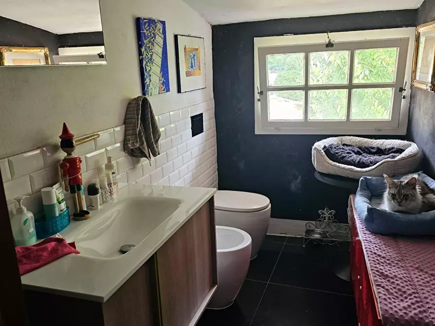 Immagine 5 di Appartamento in vendita  a Pisa