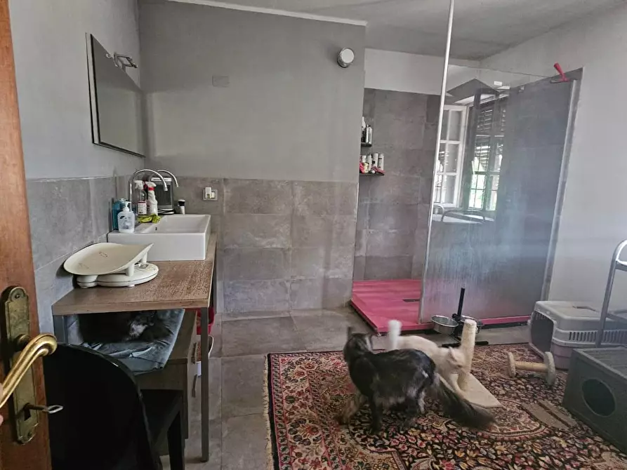 Immagine 16 di Appartamento in vendita  a Pisa