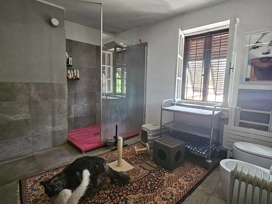 Immagine 4 di Appartamento in vendita  a Pisa