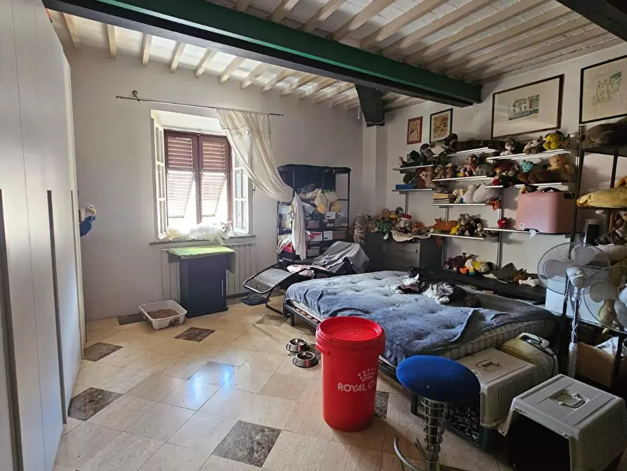 Immagine 12 di Appartamento in vendita  a Pisa