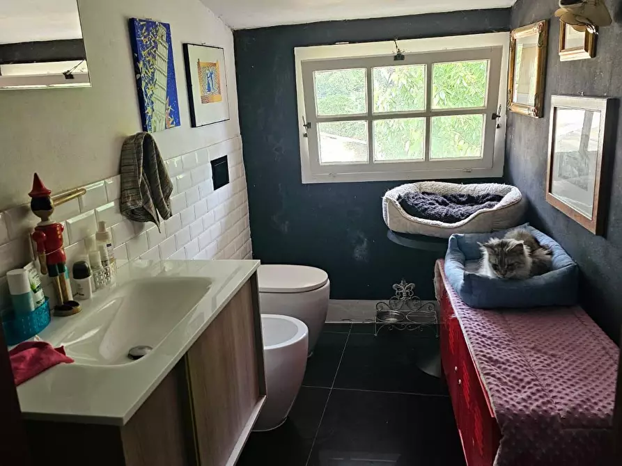 Immagine 3 di Appartamento in vendita  a Pisa