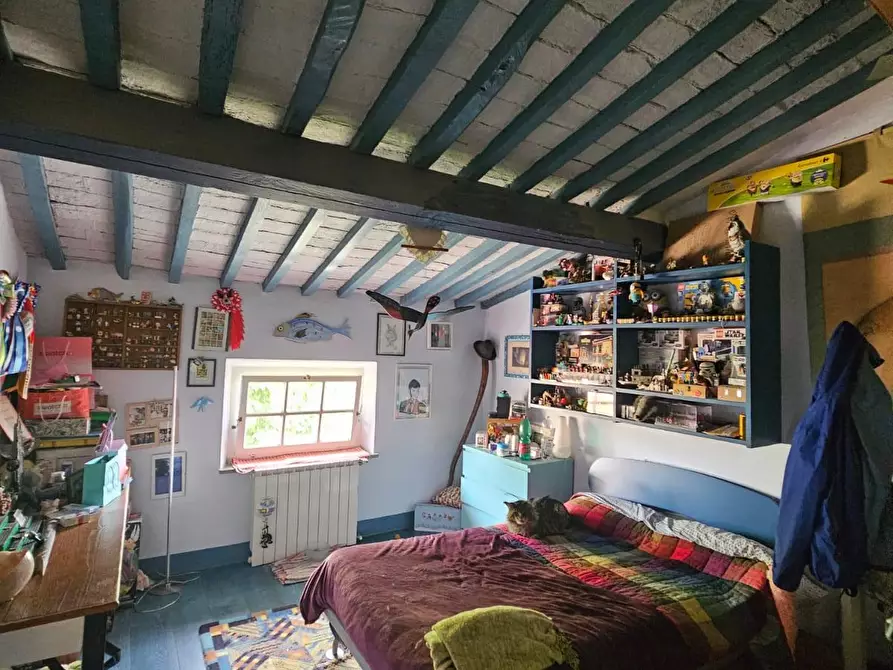 Immagine 8 di Appartamento in vendita  a Pisa