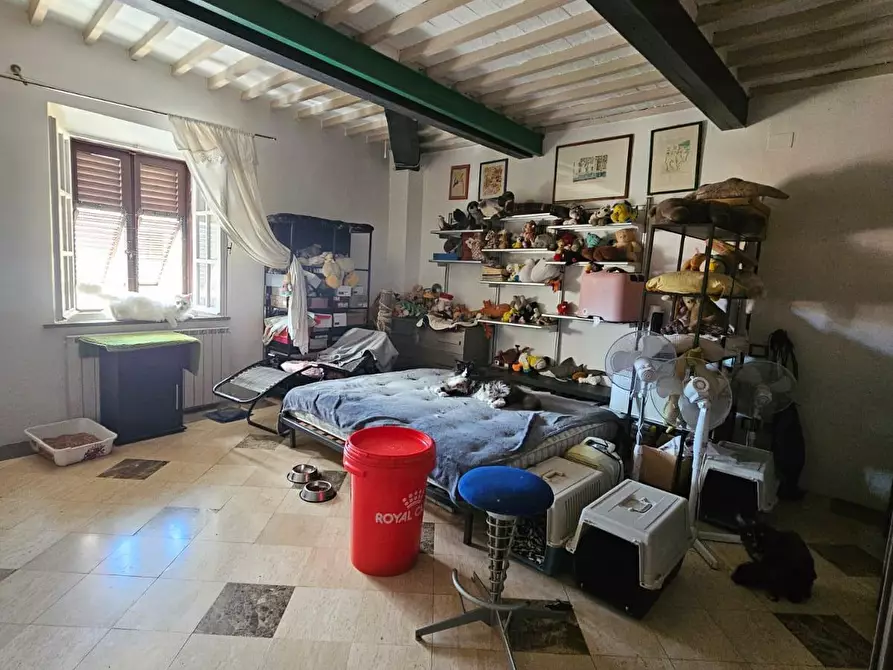 Immagine 23 di Appartamento in vendita  a Pisa